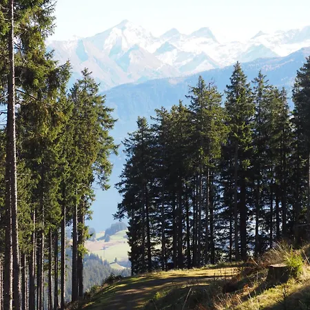 Luxury With Private Sauna * Jochberg